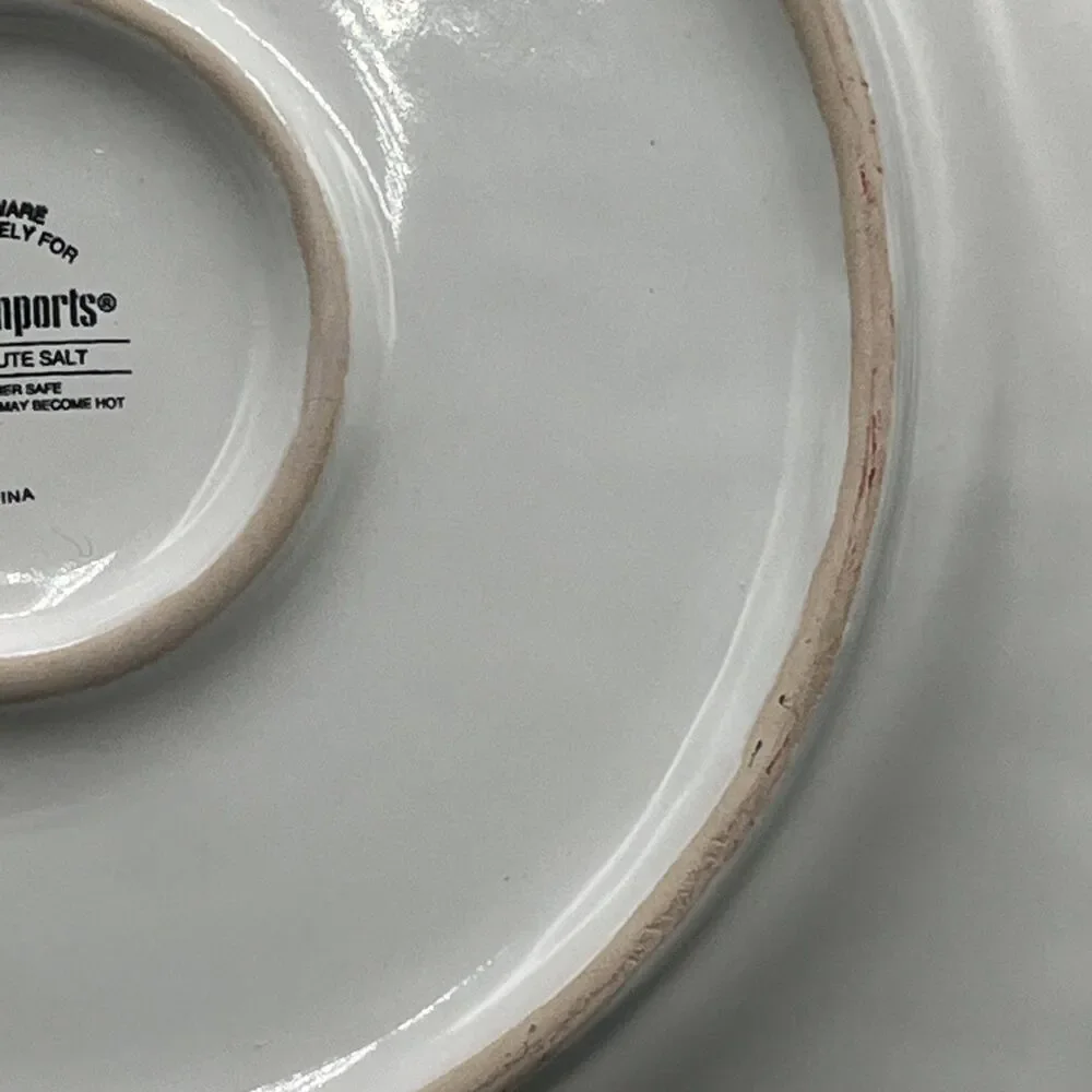 Pier 1 Imports Spice Route Salt Stoneware Dinner Plate 10.5